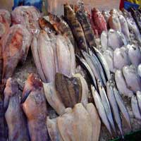 La fête du poisson bat son plein à La Goulette La fête du poisson bat son plein à La Goulette