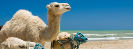 vacances Tunisie