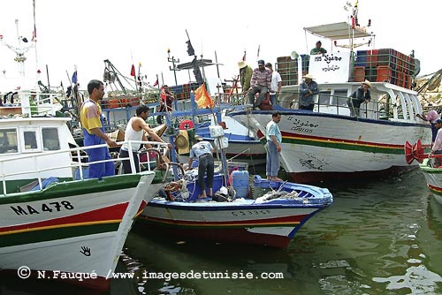 Photo de Bizerte