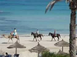 hotel calimera yati beach midoun